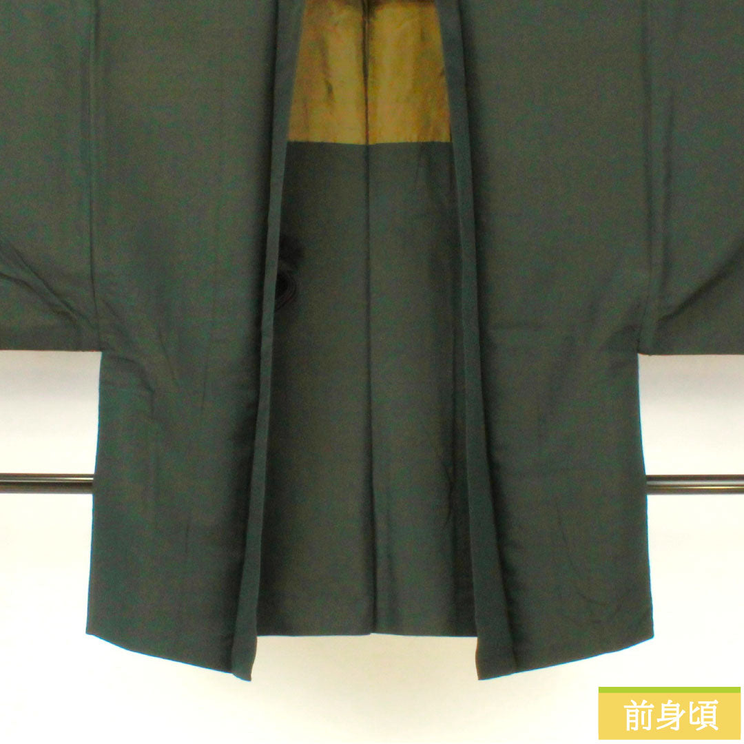 男物 正絹 Sランク 身丈88cm 裄丈66cm 錆鉄色(さびてついろ) 紬地 緑系 1119001642119