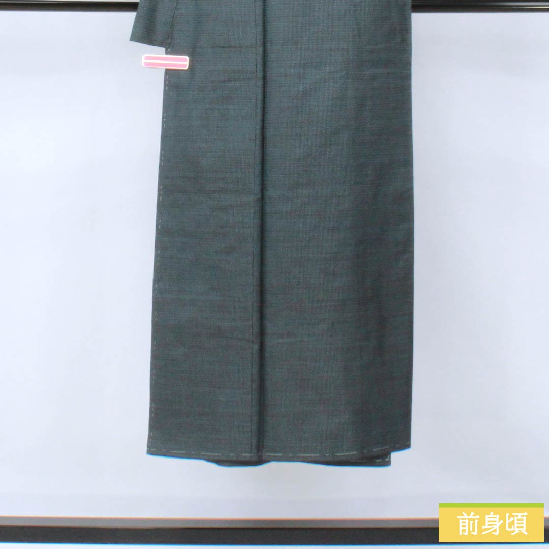 男物 正絹 Sランク 身丈141cm 裄丈67.5cm 裏色(うらいろ) 大島紬 100亀甲 アンサンブル 袷 青系 1119001392417