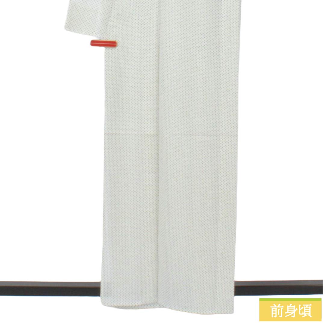 夏物 ポリエステル 小紋 Sランク 身丈160cm 裄丈65cm 洗える着物 蚊絣風 紗 白系 1132005622411