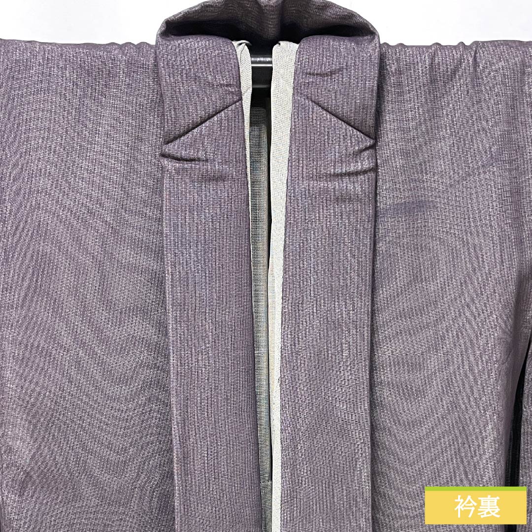 夏物 正絹 訪問着 身丈149cm 裄丈63cm 紫烏色(しうしょく) 京友禅 笹 二重紗 Sランク 紫系 1132002792120