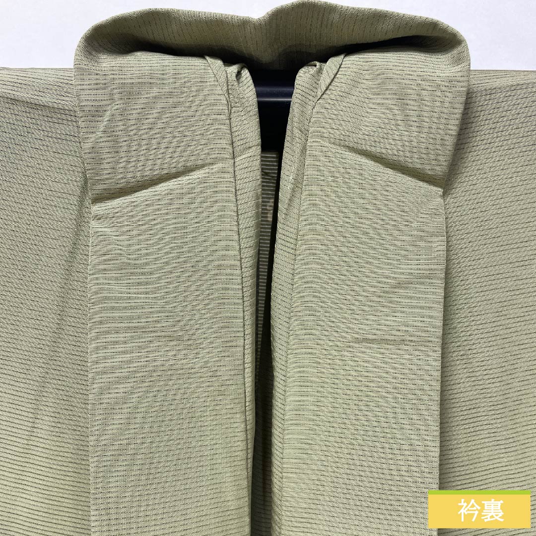 夏物 正絹 色無地 身丈156.5cm 裄丈62cm 黄鼠色(きねずいろ) 一つ紋 蔓柏 絽 Sランク 緑系 1132002062319