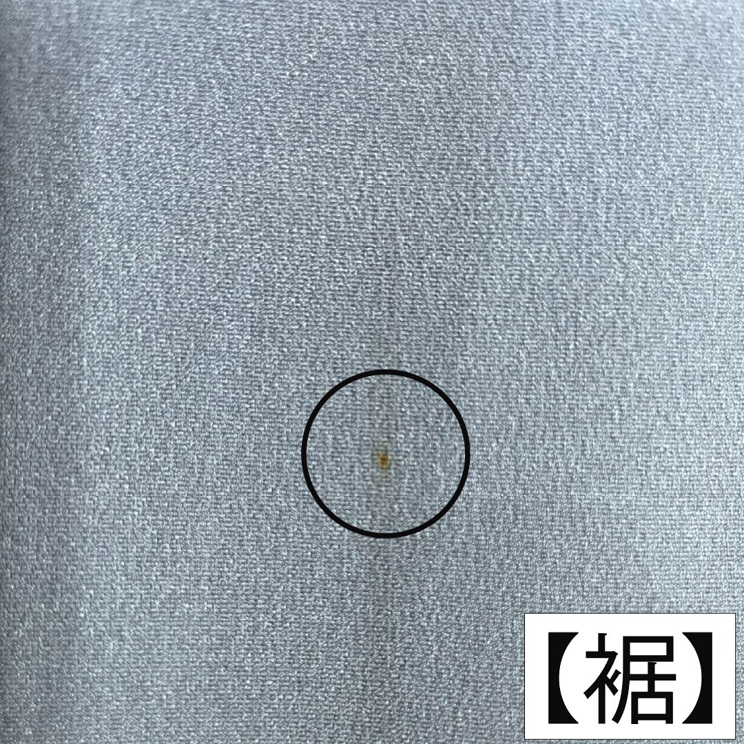 メンズ襦袢 ポリエステル Sランク 身丈137.5cm 裄丈68cm 朧花色(おぼろはないろ) 風景画 単衣 青系 1140000922317
