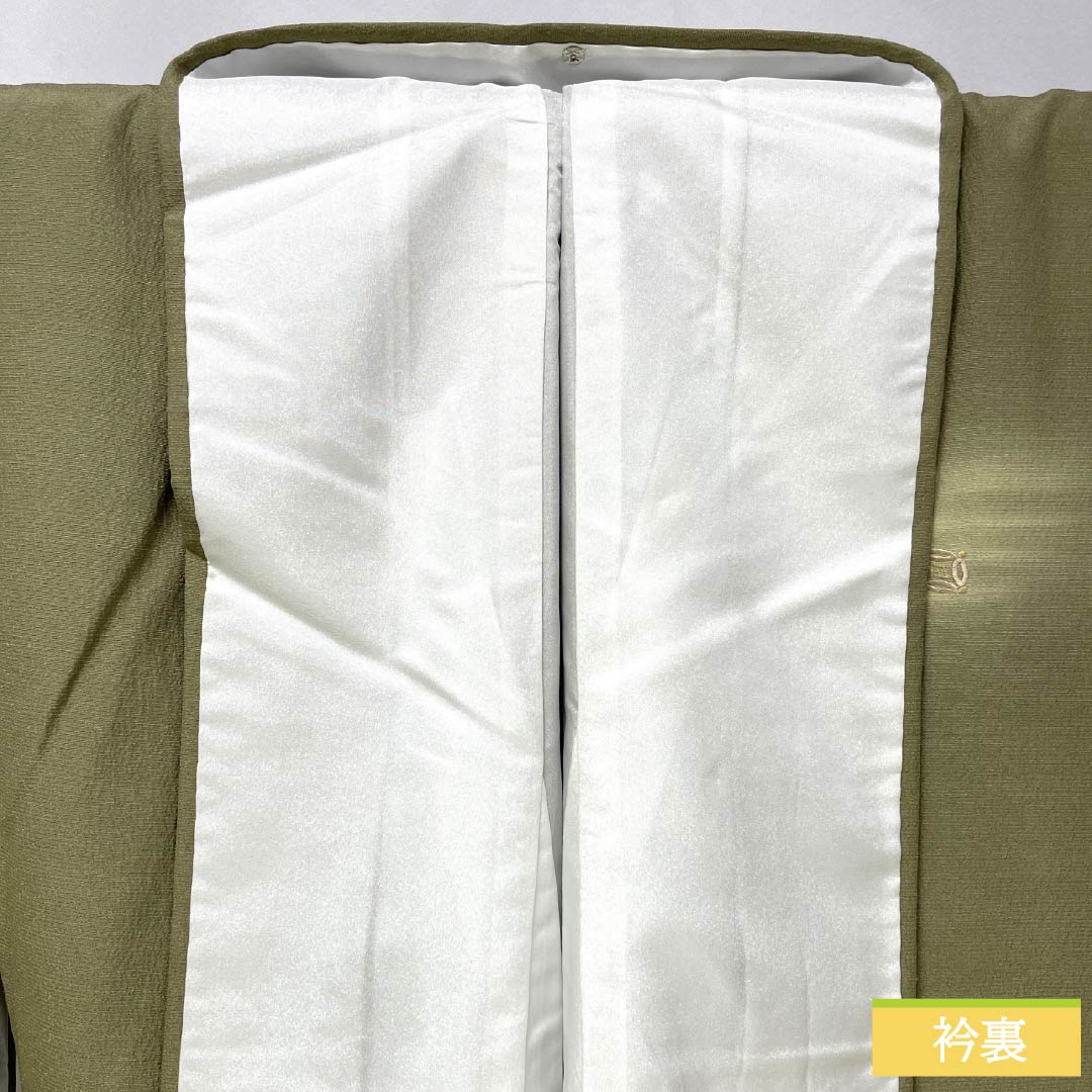 Visiting Kimono, Pure Silk, S Rank, Lined, Length 159.5cm, Sleeve Length 62.5cm, Negishi Color (Negishi-iro), Tsukesage, Fukiyose Pattern, Green Embroidery, Product Number: 1112007092319