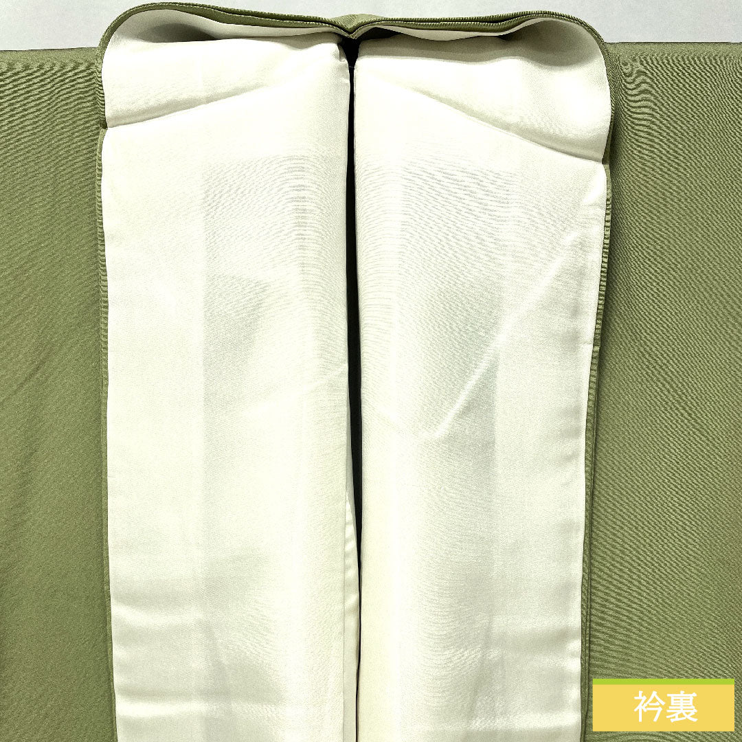 色留袖 正絹 身丈163cm 裄丈67cm 袷 薄柳色(うすやなぎいろ) 蘇州刺繡 丹後ちりめん 吉祥文様 三つ紋 丸に下り藤 Sランク 緑系 1111001682419