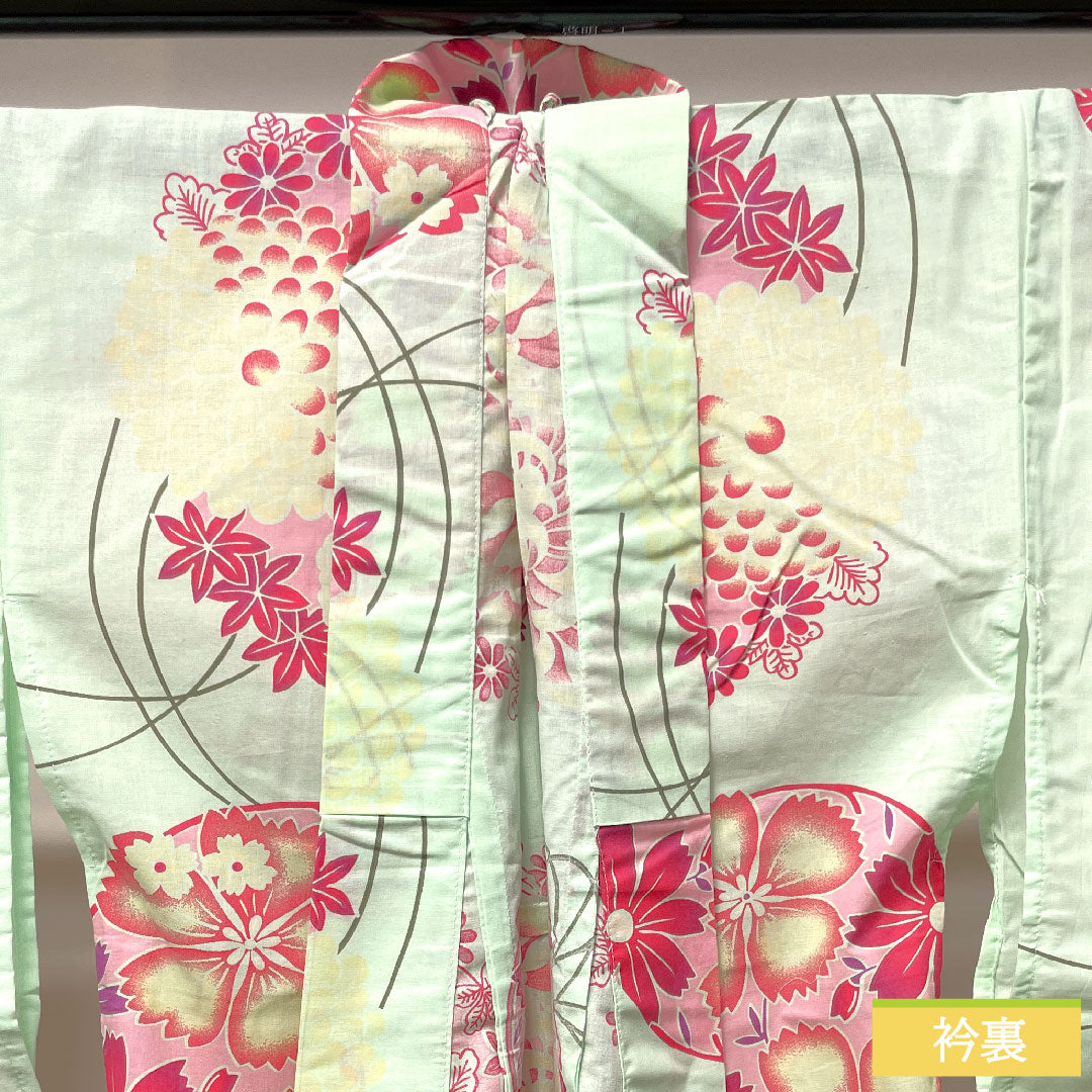 浴衣 木綿 身丈166.5cm 裄丈66cm Sランク 単衣 緑系 白緑色(びゃくろくいろ) 菊 撫子 1118004712519