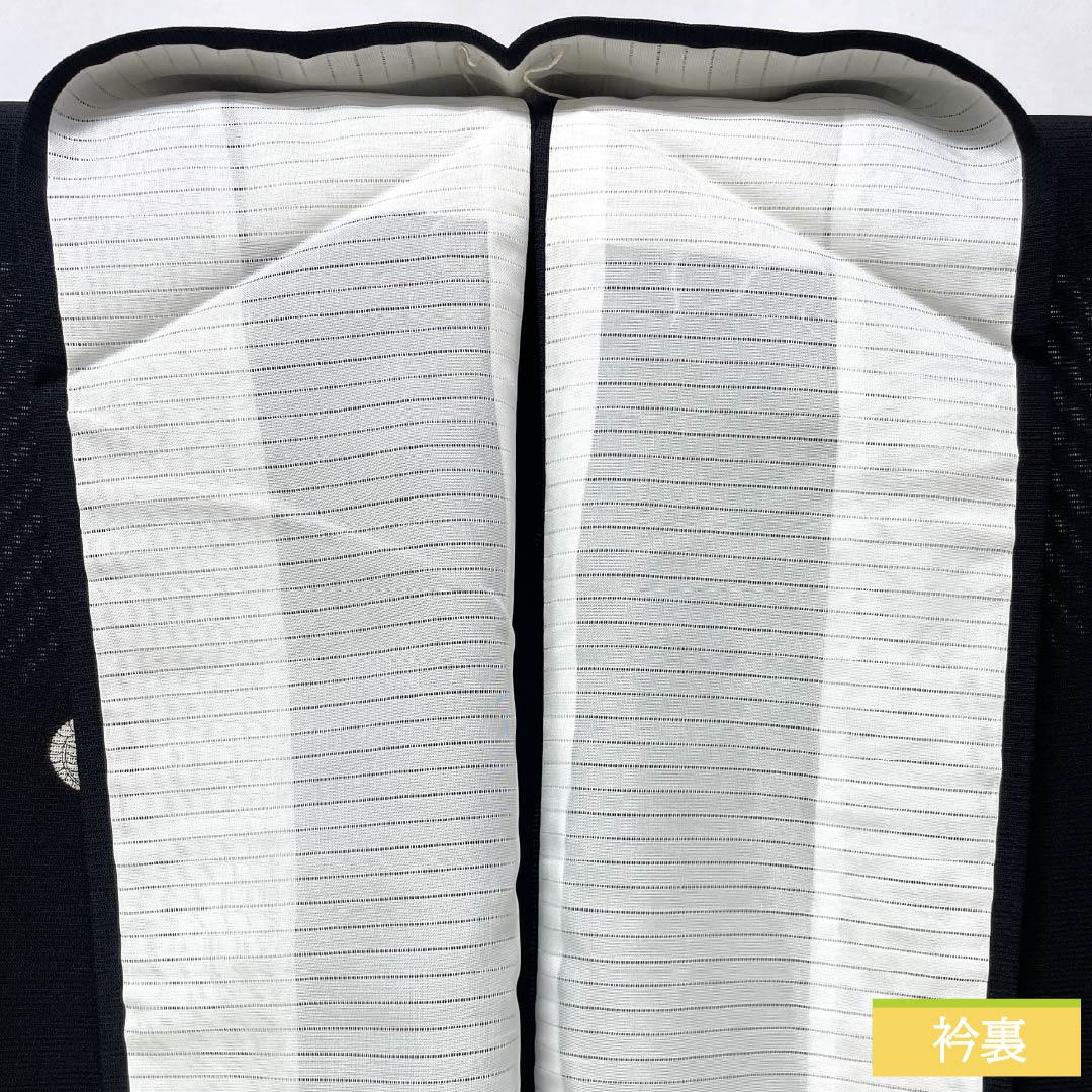 Summer pure silk black formal kimono, length 153cm, sleeve length 62cm, Kyoto yuzen, five crests, wisteria, silk, A rank, black, 1132002103210