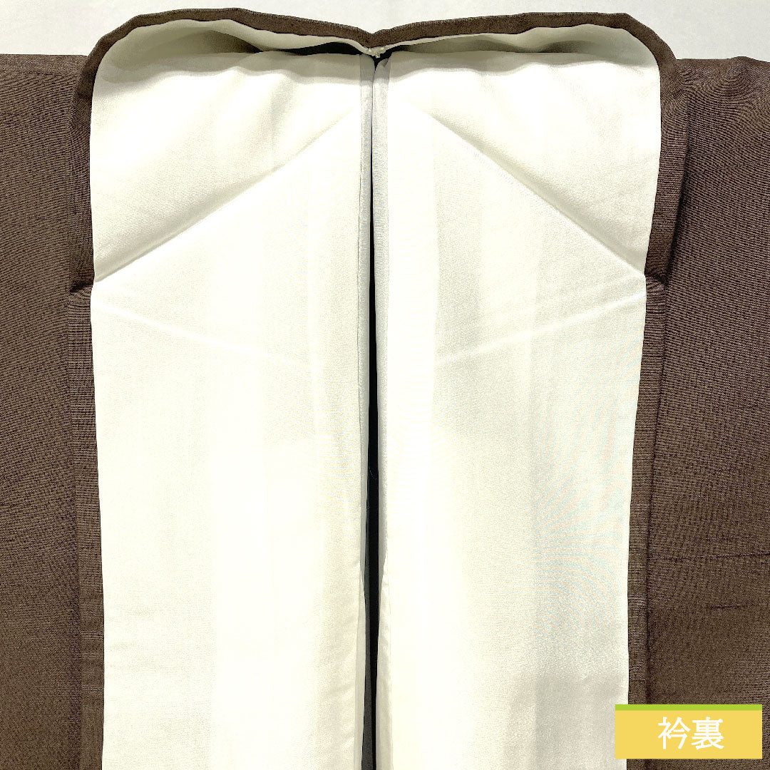 Homongi (formal kimono) made of pure silk, lined, length 169.5cm, sleeve length 66cm, smoked color (fusubeiro), pongee fabric, blurred pattern, A rank, brown, 1112005343514