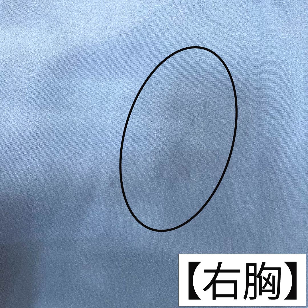 メンズ襦袢 ポリエステル Aランク 身丈142cm 裄丈69cm 朧花色(おぼろはないろ) 風景画 単衣 青系 1140000863417