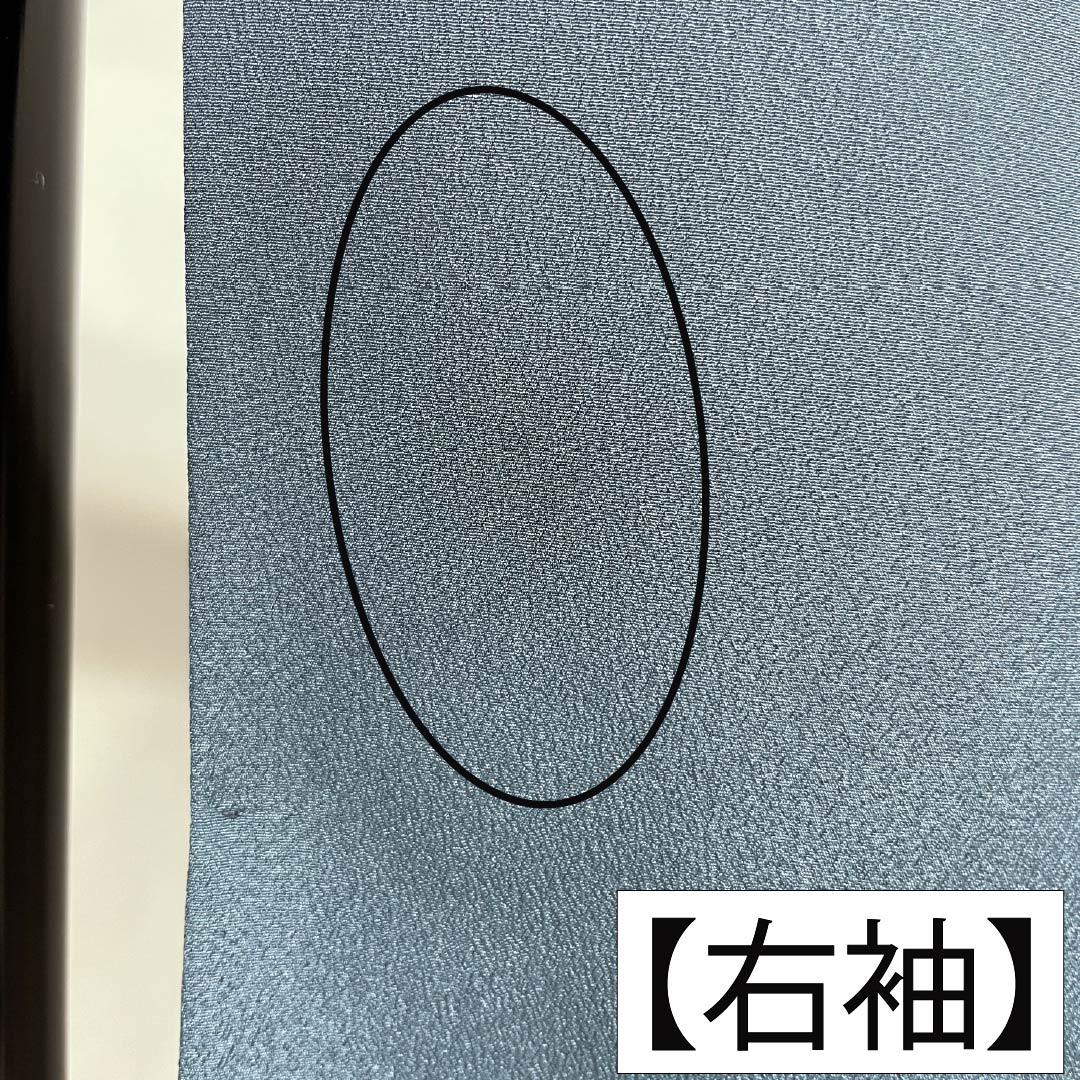 メンズ襦袢 ポリエステル Sランク 身丈143cm 裄丈71cm 湊鼠色(みなとねずいろ) 龍 単衣 青系 1140000852417