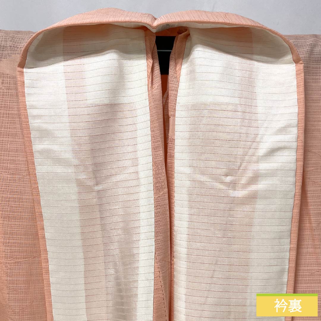 夏物 正絹 小紋 身丈154cm 裄丈63cm 淡紅赤色(うすべにあかいろ) 紋絽 草木模様 絽 Sランク ピンク系 1132002852213