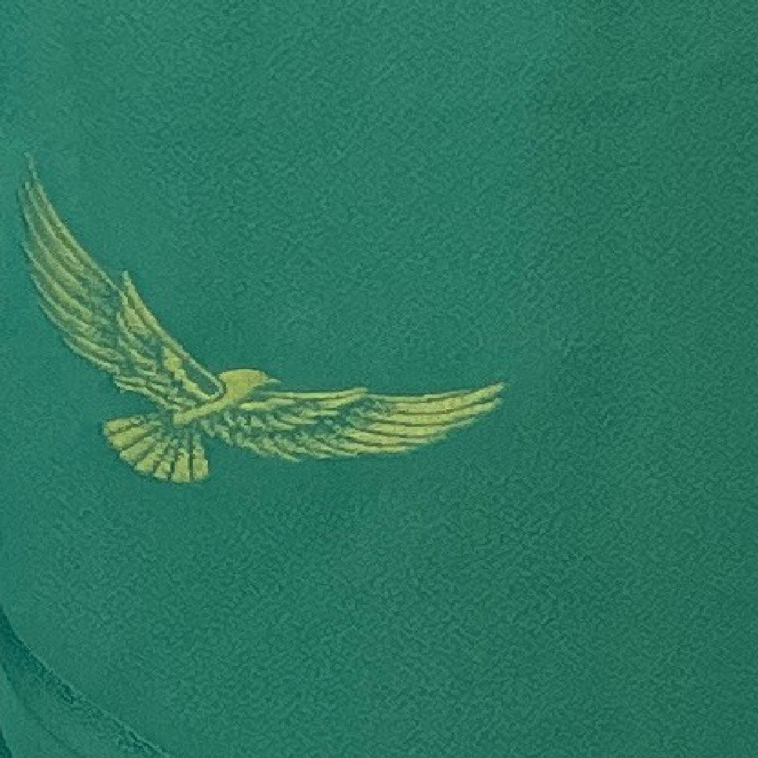 色無地 斉藤三才 三才鳥 身丈152.5cm 裄丈65.5cm 袷 正絹 Aランク 緑系 1114000443219