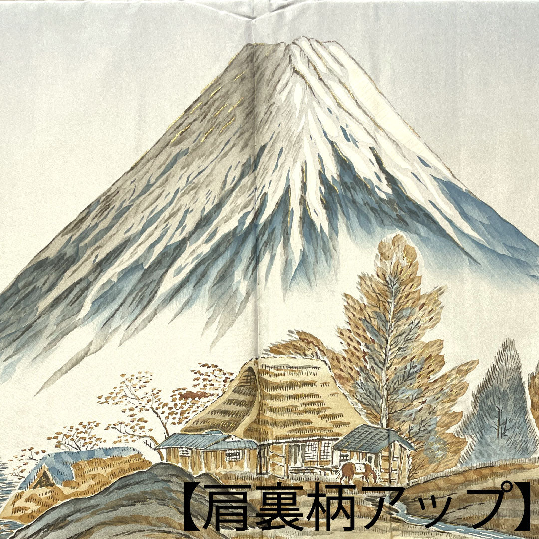 男物 身丈142.5cm 裄丈66.5cm 大島紬 アンサンブル 経緯絣 正絹 Sランク 袷 紺系 1119000482418