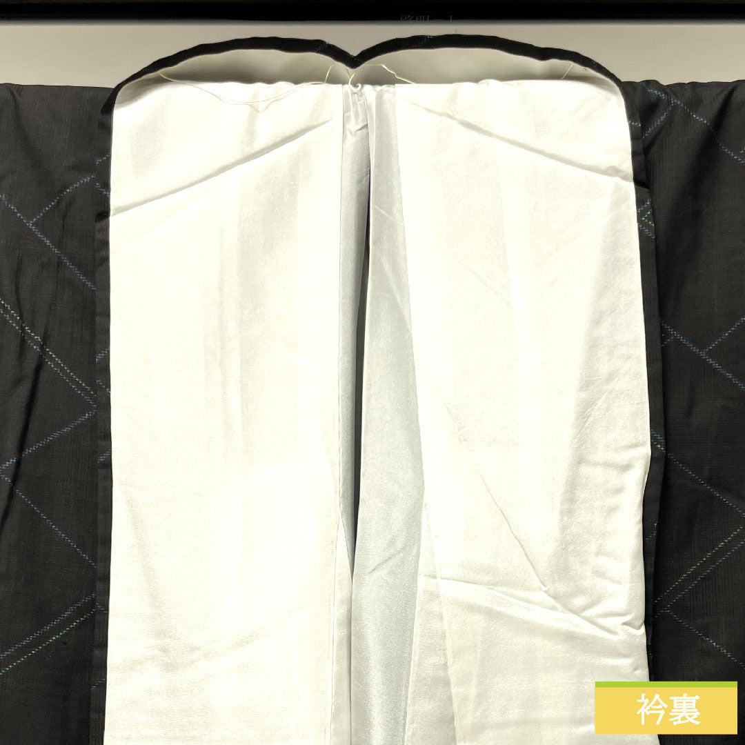 大島紬 正絹 身丈168.5cm 裄丈66cm しつけ糸付き 幾何学模様 Sランク 袷 黒系 1116002912510