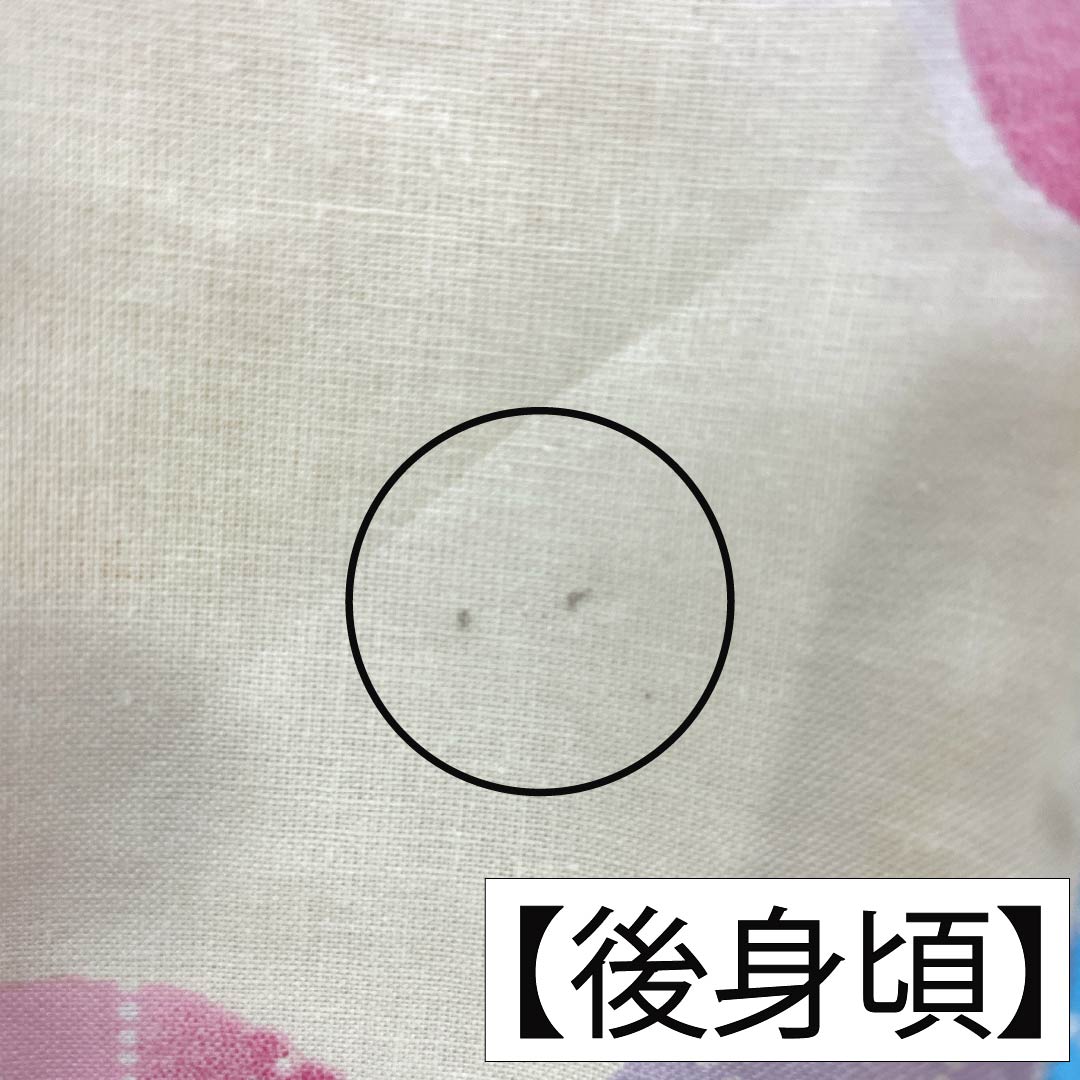 浴衣 木綿 Aランク 身丈166cm 裄丈64.5cm 鳥の子色(とりのこいろ) 梅 単衣 クリーム系 1118007323515