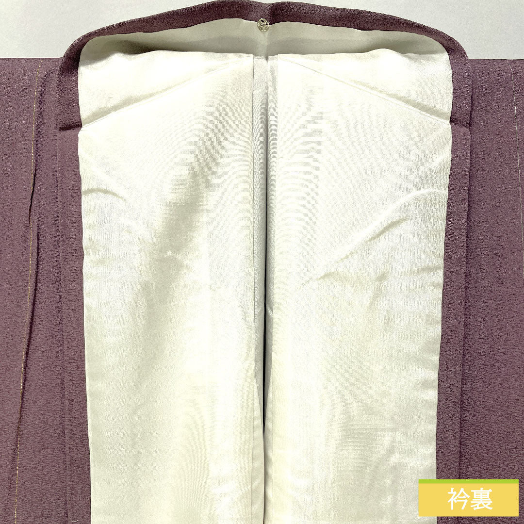 小紋 正絹 身丈161.5cm 裄丈63.5cm 袷 半色(はしたいろ) Bランク 紫系 1115004754420