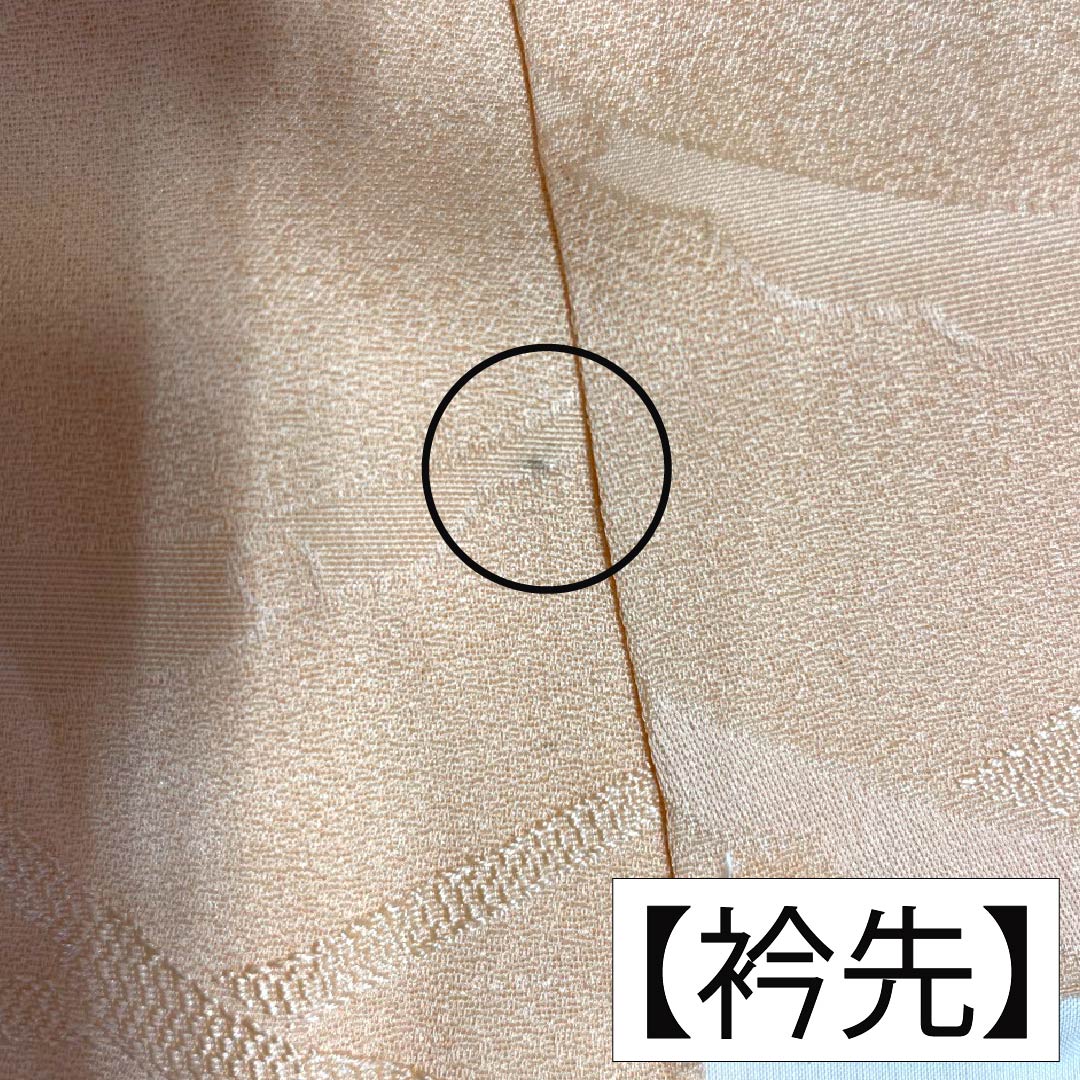 色無地 正絹 Bランク 身丈158.5cm 裄丈63cm 薄肉色(うすにくいろ) 雪輪露芝 一つ紋 違い鷹の羽 袷 橙系 1114002944326
