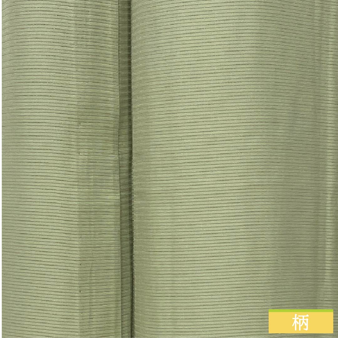 夏物 正絹 色無地 身丈156.5cm 裄丈62cm 黄鼠色(きねずいろ) 一つ紋 蔓柏 絽 Sランク 緑系 1132002062319