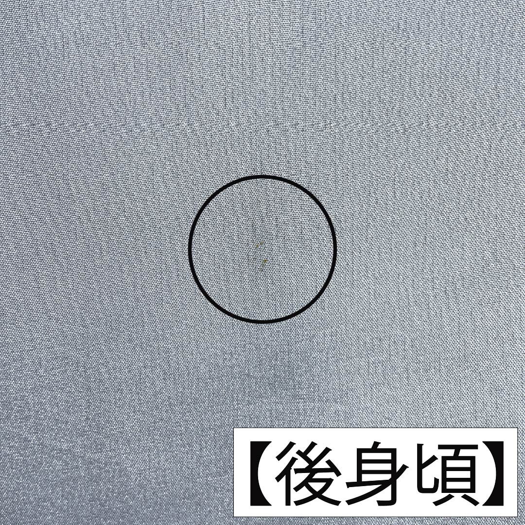 メンズ襦袢 正絹 Sランク 身丈141cm 裄丈73cm 移色(うつしいろ) 風景画 袷 青系 1140000902417