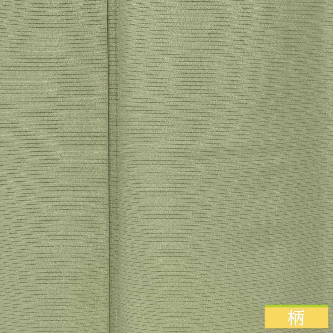 夏物 正絹 色無地 Sランク 身丈157cm 裄丈63.5cm 裏柳色(うらやなぎいろ) 素無地 絽 緑系 1132003982319