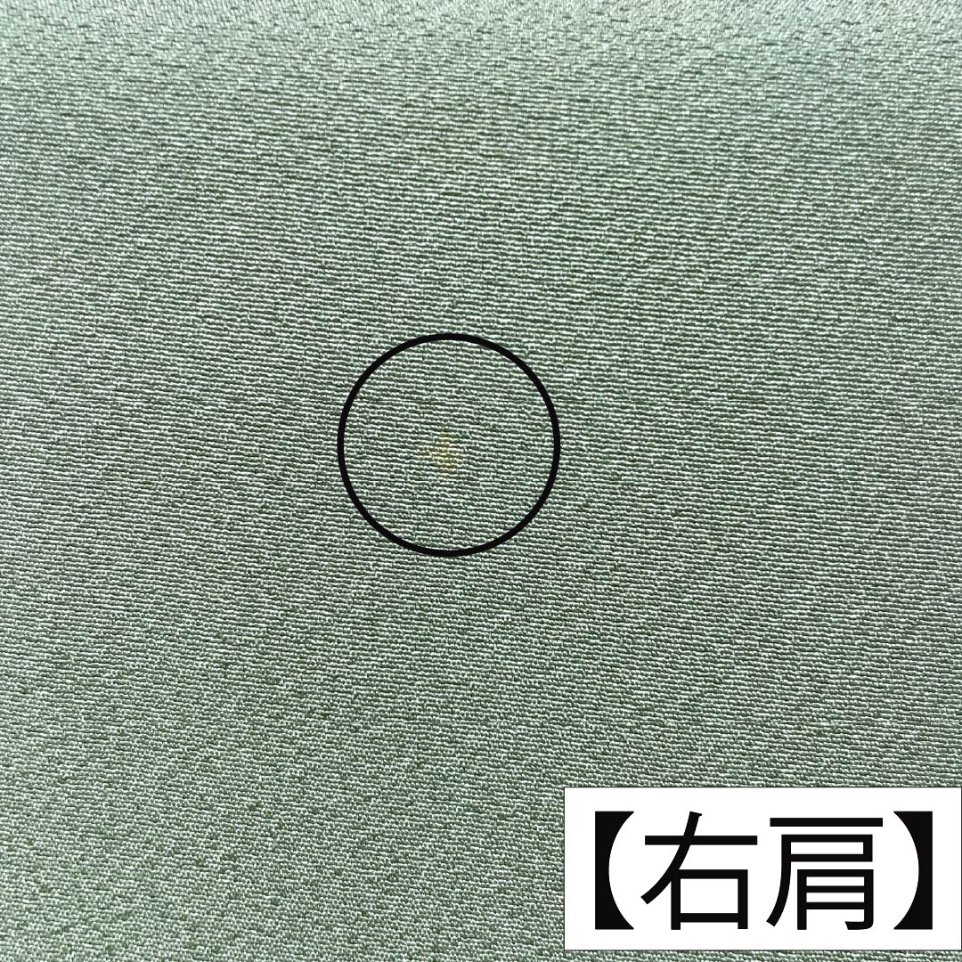 色無地 正絹 Sランク 身丈158.5cm 裄丈65cm 裏葉色(うらはいろ) ちりめん地 素無地 一つ紋 袷 緑系 1114003062319