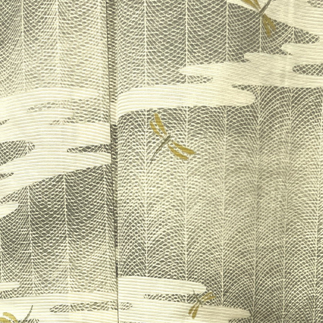 夏物 正絹 小紋 身丈155cm 裄丈62cm 乳白色(にゅうはくしょく) トンボ 道長取り 絽 Sランク クリーム系 1132000602315