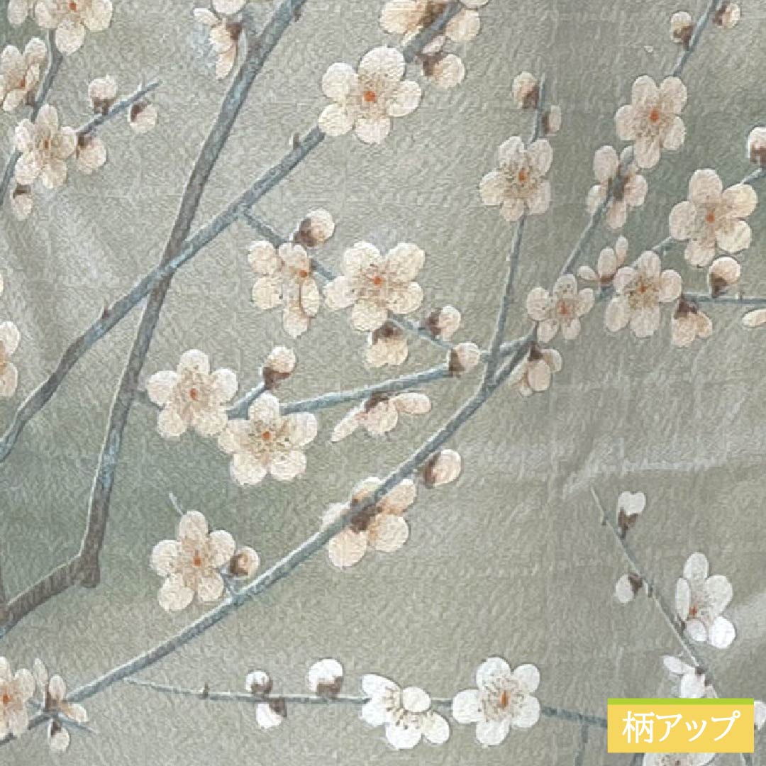 Komon Polyester S Rank Length 161cm (63.4in) Sleeve-to-sleeve 66cm (26.0in) Unlined Enshū-nezumi (Muted Gray) Stenciled Dyeing Gradated Dyeing Cherry Blossom Washable Kimono Beige-tone 1115007802425