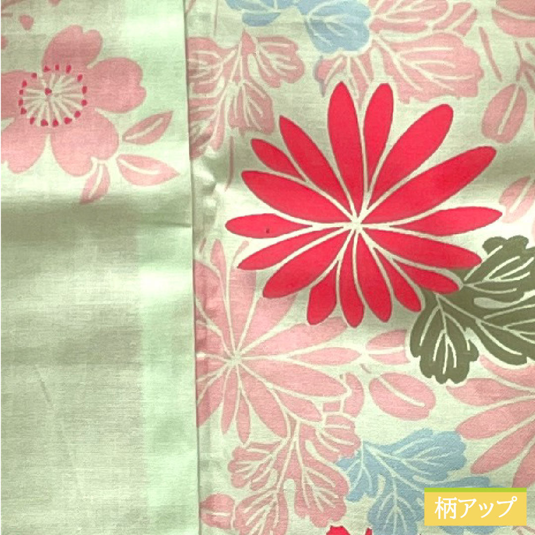 浴衣 木綿 身丈168.5cm 裄丈64cm Sランク 単衣 緑系 白緑色(びゃくろくいろ) 菊 桜 萩 1118004682519