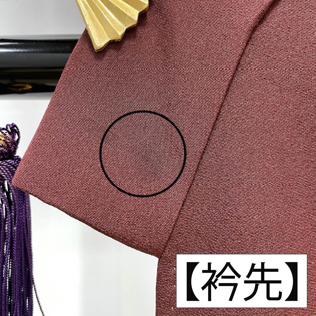 色留袖 正絹 Aランク 身丈162cm 裄丈66.5cm 袷 黒紅梅色(くろこうばいいろ) 京友禅 松皮菱 吉祥文様 一つ紋 丸に石竹 比翼付き 五つ紋 茶系 1111002163414