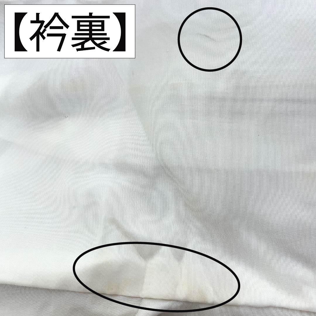 色無地 正絹 Bランク 身丈164.5cm 裄丈65.5cm 支子色(くちなしいろ) 紋意匠 草花模様 一つ紋 袷 黄系 1114003104423