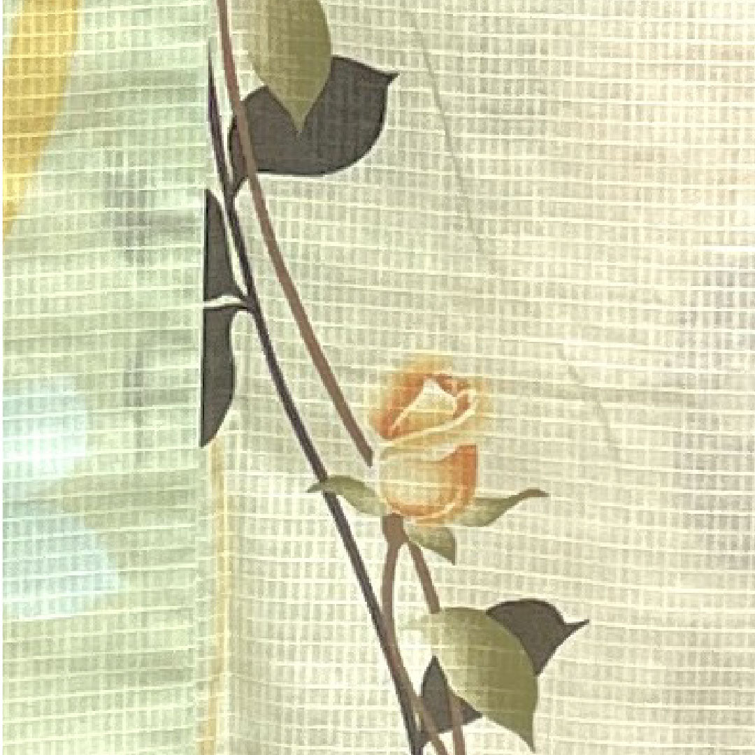 浴衣 薄緑色 乳白色 薔薇 木綿 Sランク 単衣 身丈165.5cm 裄丈67cm グラデーション系 1118000972599