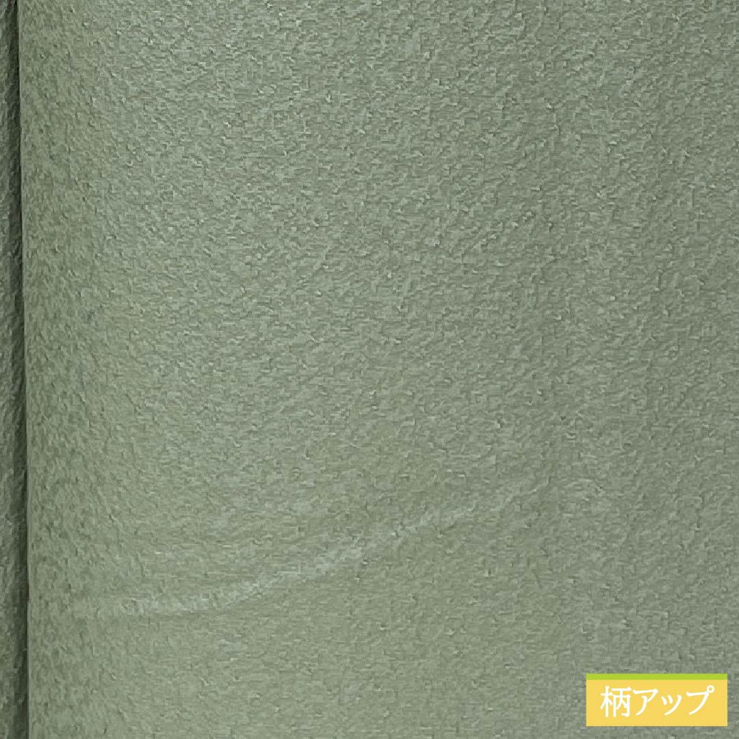 色無地 正絹 Bランク 身丈154cm 裄丈65cm 裏葉色(うらはいろ) 単衣 緑系 1114002374219