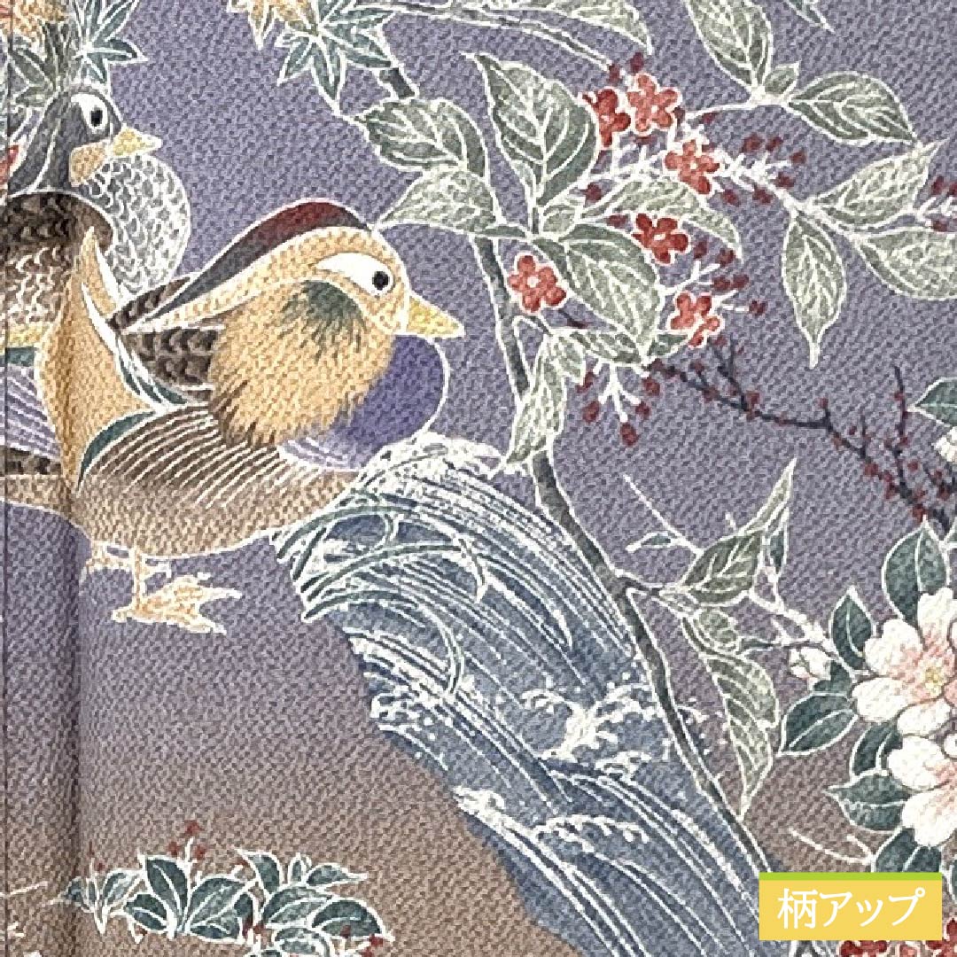 Komon, pure silk, length 160.5cm, sleeve length 64cm, lined, flower and bird pattern, with basting thread, S rank, gradation style, 1115005782499