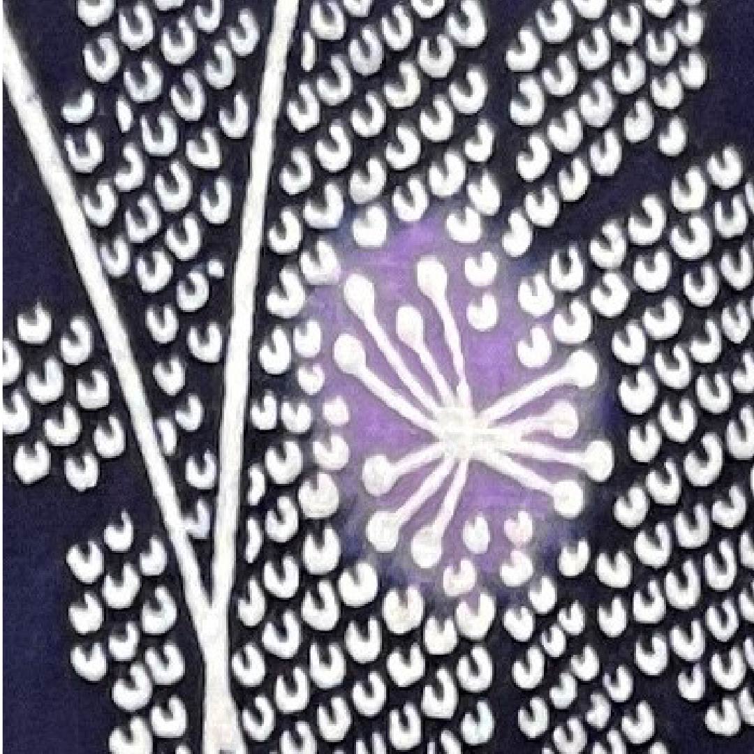 浴衣 濃紺色 桜木綿 Sランク 単衣 身丈154cm 裄丈64cm 紺系 1118004412218