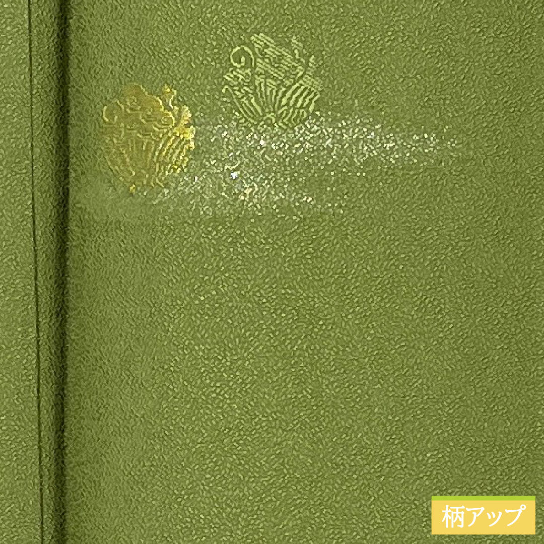 色無地 正絹 身丈164.5cm 裄丈65cm 緑衫色(ろくそういろ)縫い取り 一つ紋 揚羽蝶 袷 Sランク 緑系 1114002012419