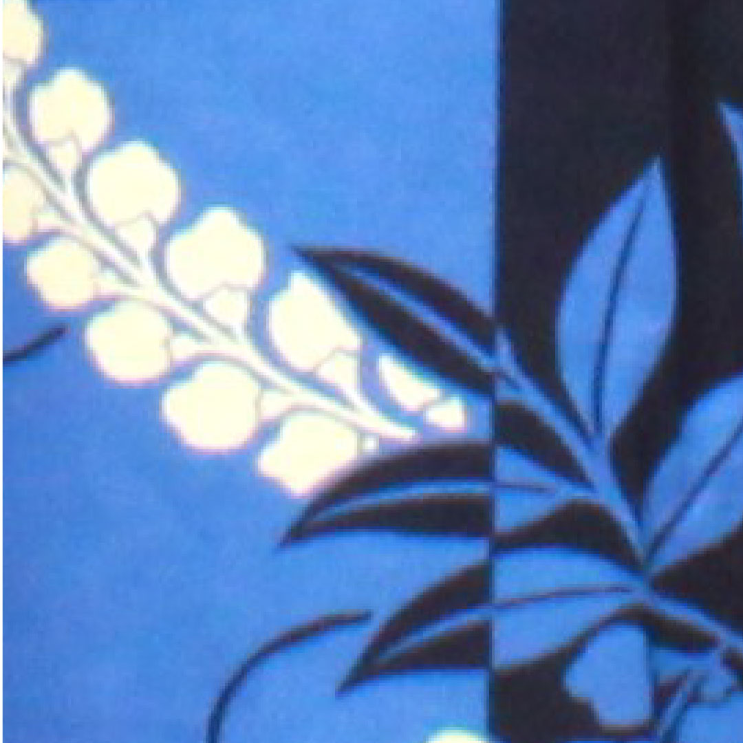 浴衣 しつけ糸付き 未使用品 鈴蘭 木綿 Sランク 単衣 身丈158.5cm 裄丈65cm グラデーション系 1118002912399