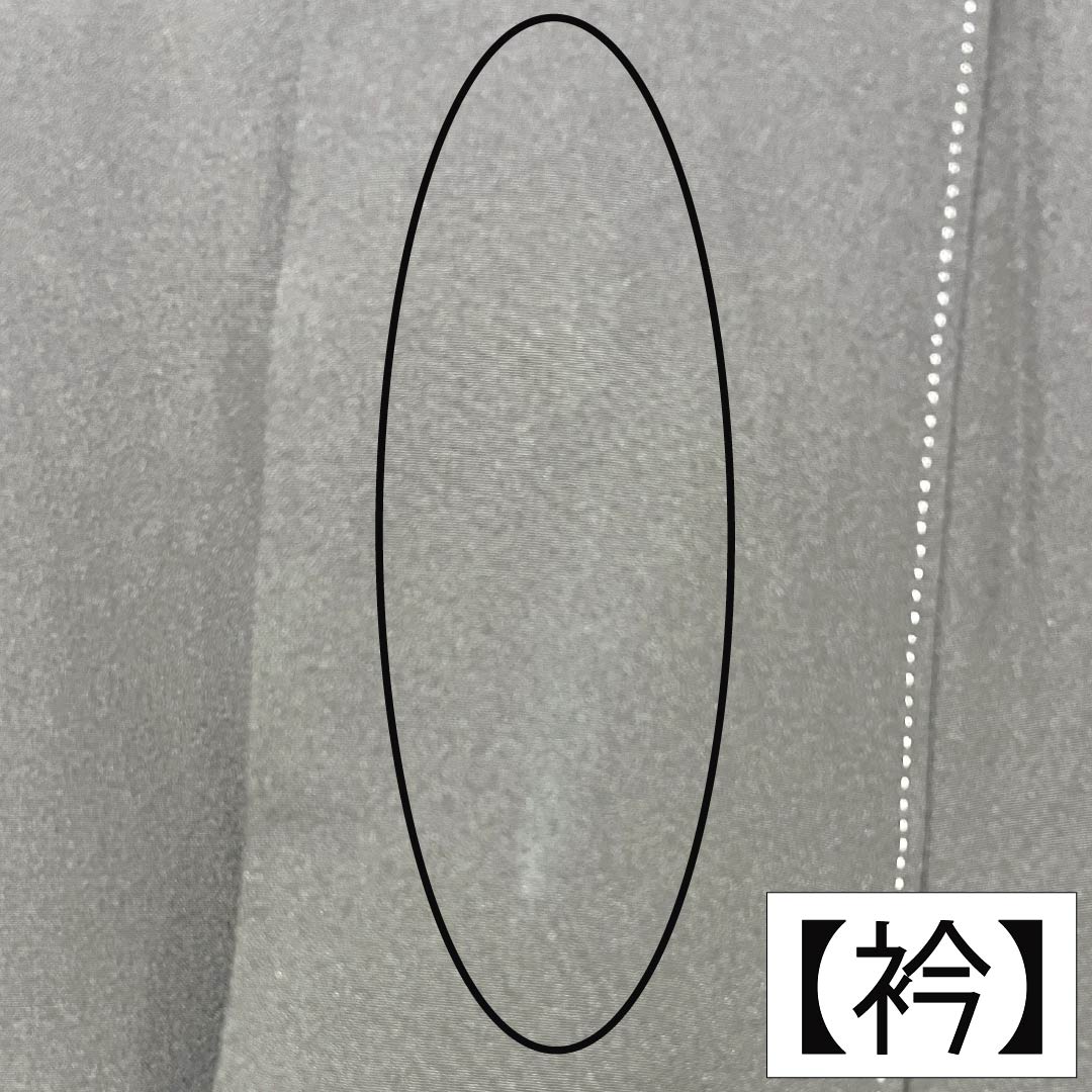 黒留袖 正絹 Aランク 身丈155.5cm 裄丈64cm 袷 京友禅 鶴 束ね熨斗 五つ紋 丸に七五三根笹 比翼付き シルクガード加工 五つ紋 黒系 1111002413310