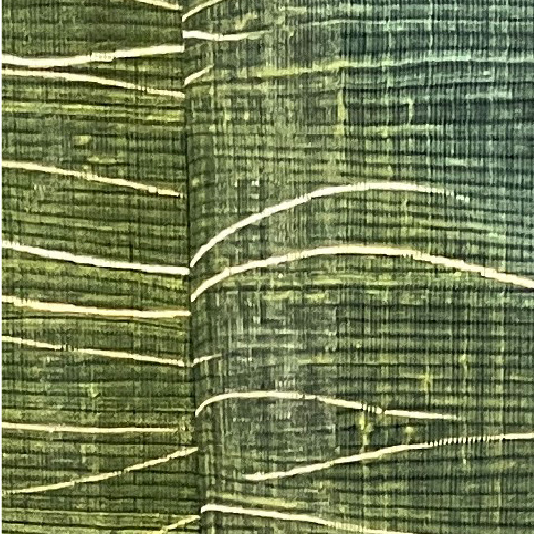 夏物 正絹 訪問着 身丈160cm 裄丈65cm 黒緑色(くろみどりいろ) 抽象模様 紬地 絽 Sランク 緑系 1132000572419