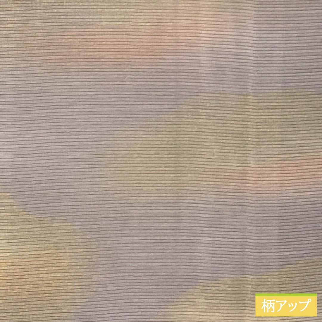夏物 正絹 訪問着 身丈153cm 裄丈61.5cm 桜色(さくらいろ) 京友禅 一つ紋 丸に橘 絽 Bランク ピンク系 1132002194213
