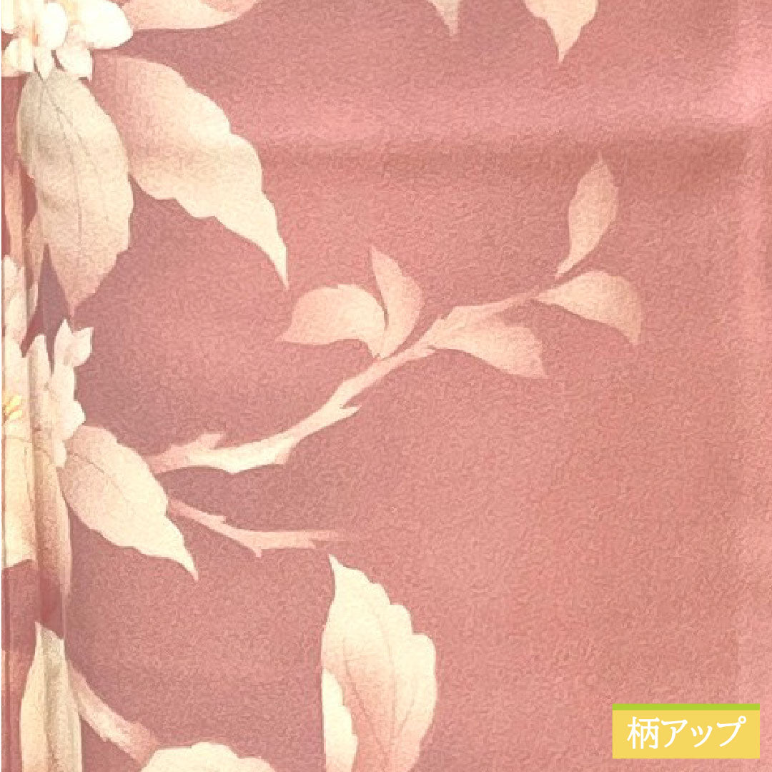 訪問着 正絹 袷 身丈158.5cm 裄丈62.5cm 一斤染色(いっこんぞめいろ) 京友禅 草花模様 一つ紋 丸に沢瀉 Aランク ピンク系 1112004763313