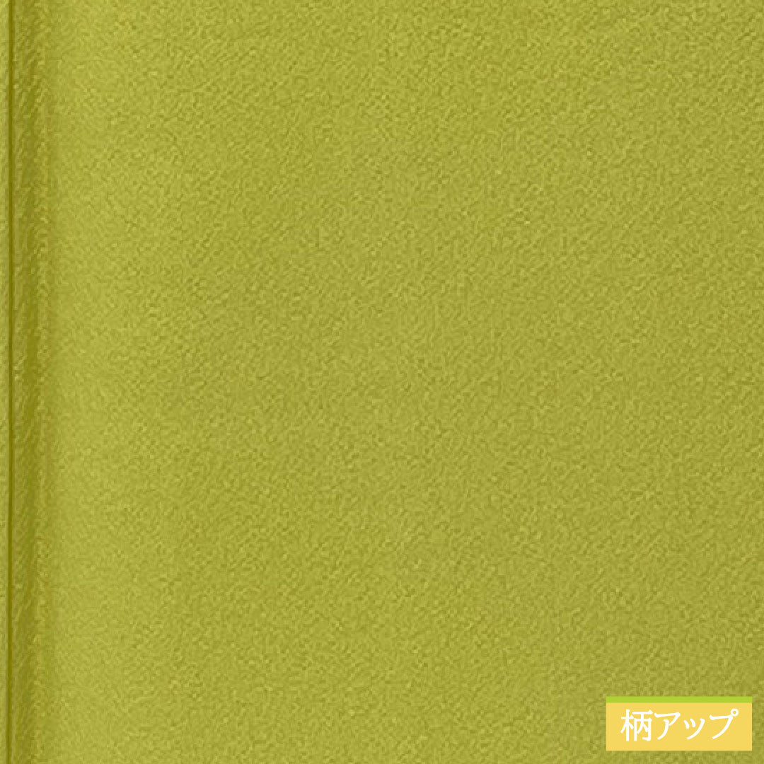 Plain color, pure silk, length 150cm, sleeve length 63cm, Wakanae-iro, plain color, one crest, different hawk feathers, lined, B rank, green, 1114001774119