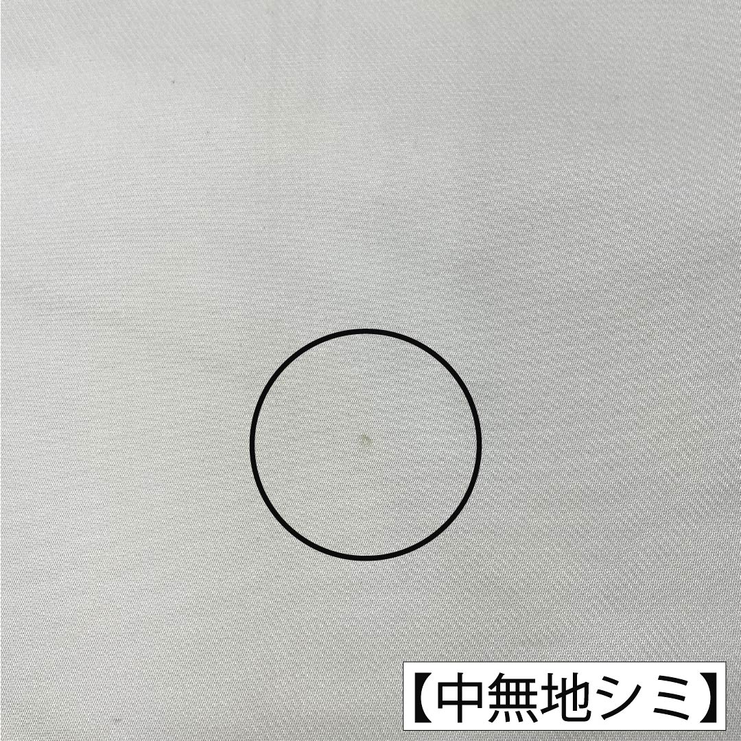 袋帯 正絹 Aランク 銀色(ぎんいろ) 引箔 裂取り 扇面 帯丈424cm ポイント柄 セミフォーマル 銀系 1123018523322
