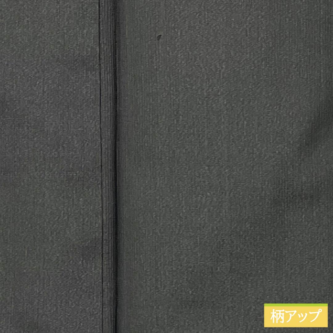 男物 正絹 Sランク 身丈128.5cm 裄丈62.5cm 薄黒色(うすぐろいろ) 紬地 袷 グレー系 1119001112222