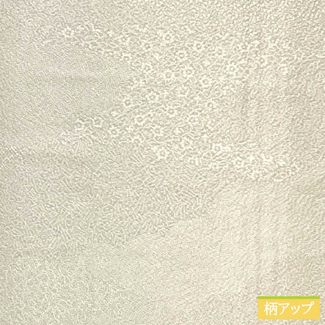 小紋 正絹 身丈164.5cm 裄丈68cm 単衣 白茶色(しらちゃいろ) 丹後ちりめん 極型江戸小紋 染師光擴 彫師双光 Sランク ベージュ系 1115004982425