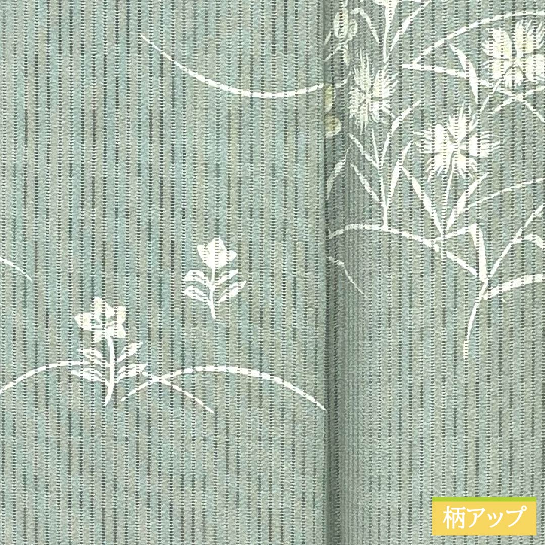 夏物 正絹 小紋 身丈153cm 裄丈62cm 白緑色(びゃくろくいろ) 京友禅 秋草 三松シルクケア 絽 Aランク 緑系 1132002093219