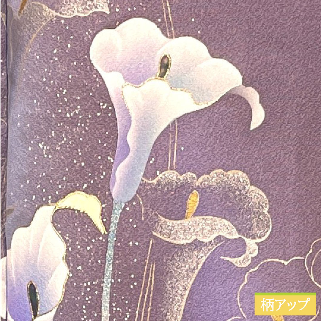 訪問着 正絹 袷 身丈157.5cm 裄丈64.5cm 中滅紫色(なかのけしむらさきいろ) 京友禅 カラー Sランク 紫系 1112004812320