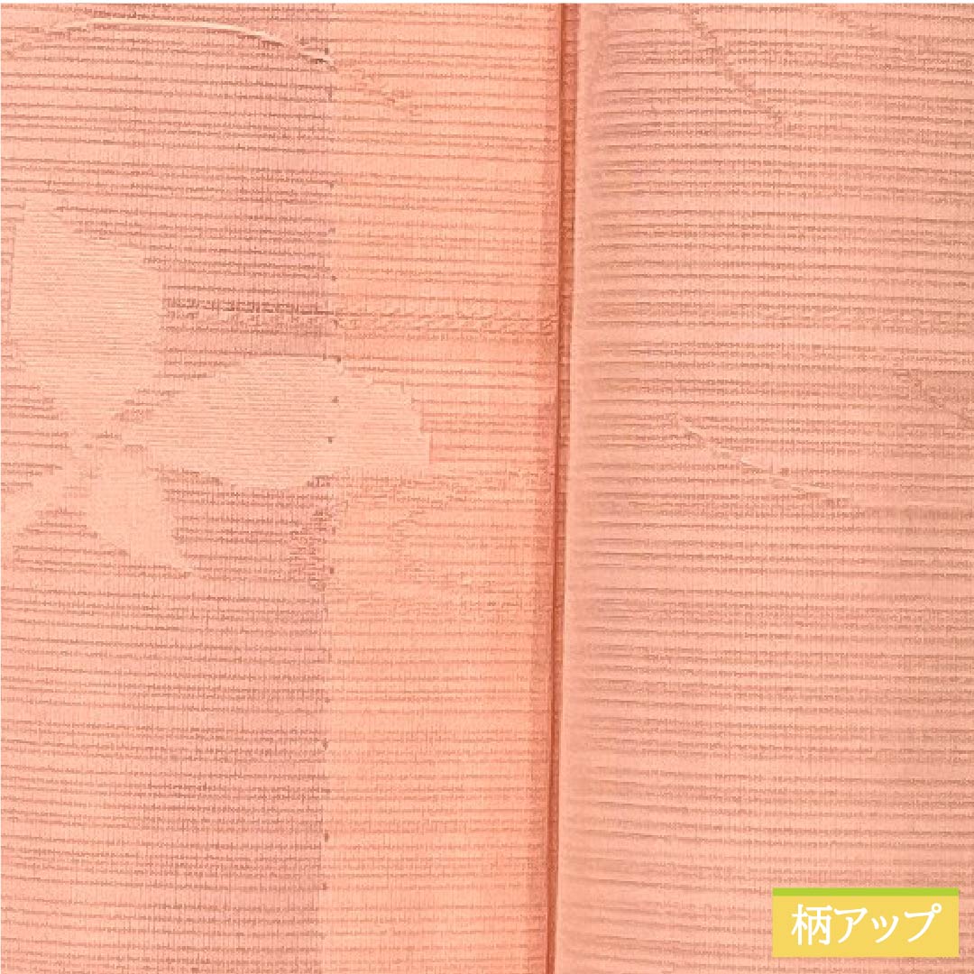 夏物 正絹 小紋 身丈154cm 裄丈63cm 淡紅赤色(うすべにあかいろ) 紋絽 草木模様 絽 Sランク ピンク系 1132002852213