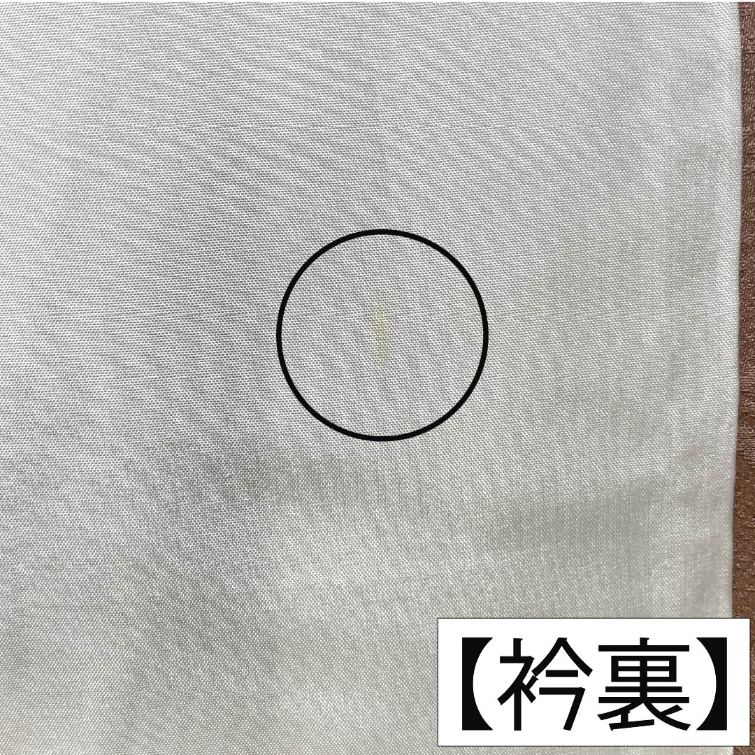 色無地 正絹 Aランク 身丈150cm 裄丈62cm 水柿色(みずがきいろ) 唐草 単衣 茶系 1114002733114