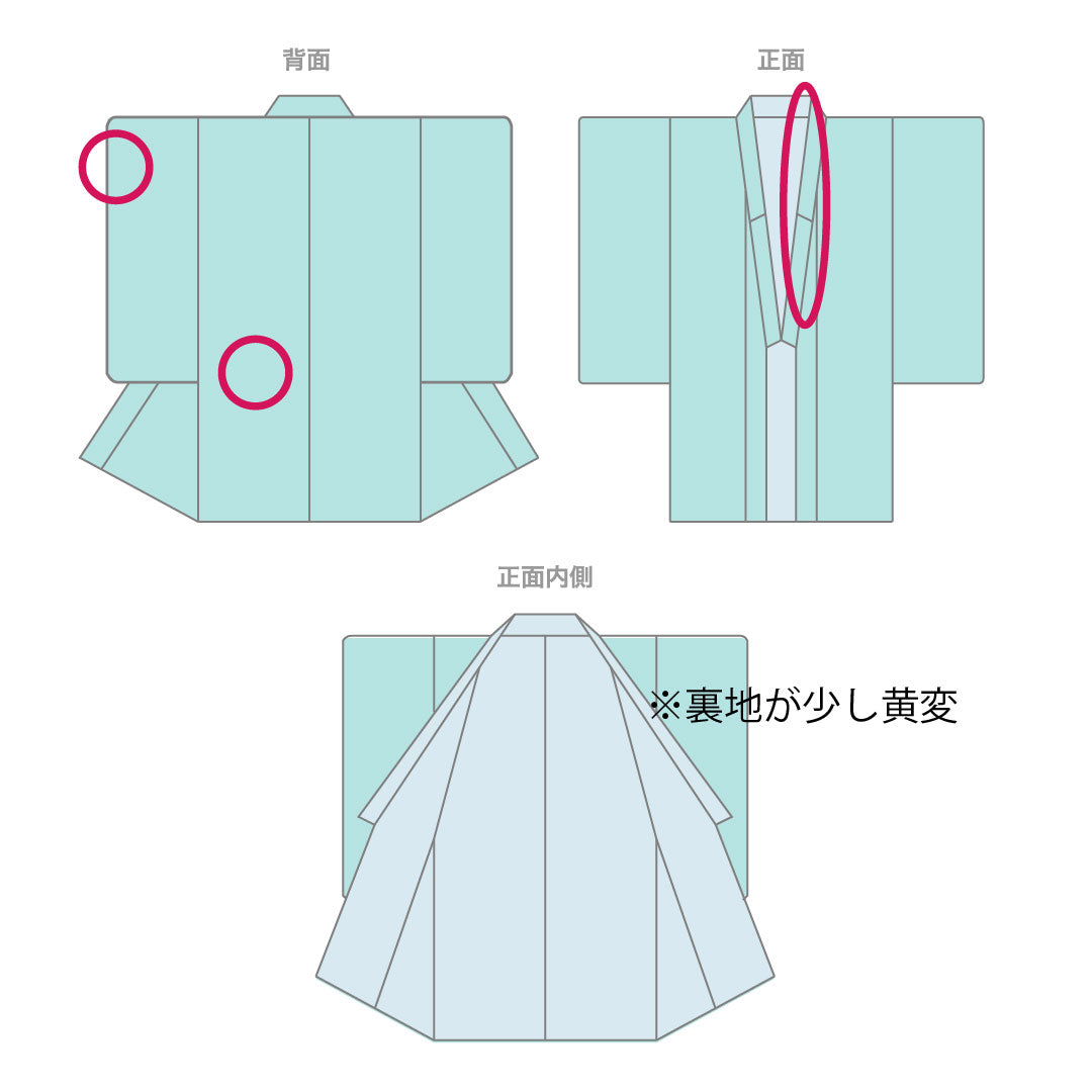 Homongi, pure silk, lined, length 158cm, sleeve length 62.5cm, Neriiro, Kyoto Yuzen, floral pattern, A rank, cream color, 1112004253315