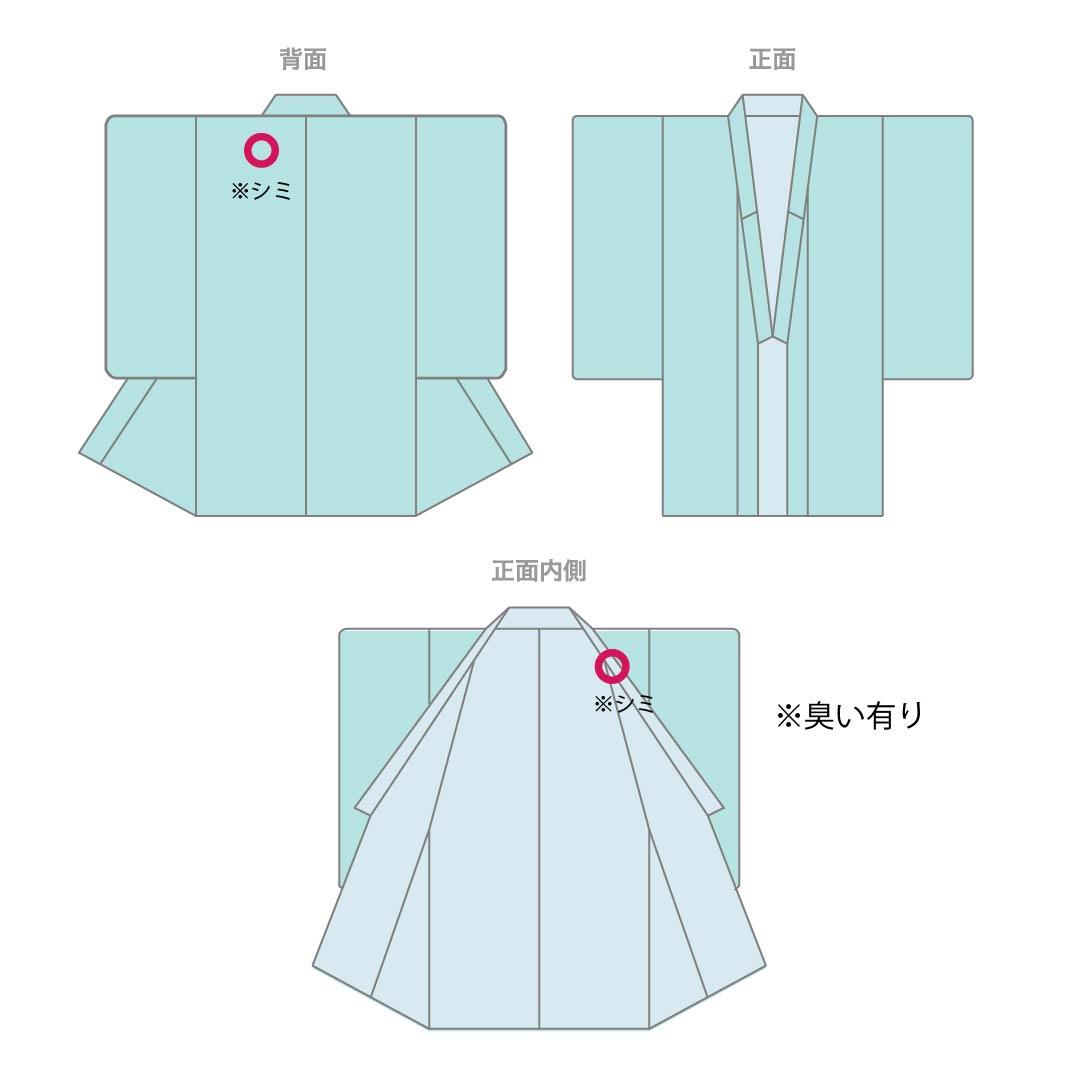 夏物 ウール 紬 Aランク 身丈159.5cm 裄丈65.5cm 練色(ねりいろ) サマーウール 草花模様 紗 クリーム系 1132005253315
