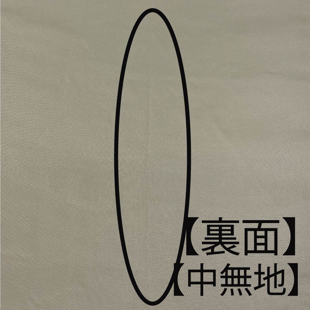 Fukuro obi (sash) in Torinoko color, classic pattern, woven ring inscription, obi length 442cm, pure silk, S rank, six-pass, formal, cream color, 1123008722315